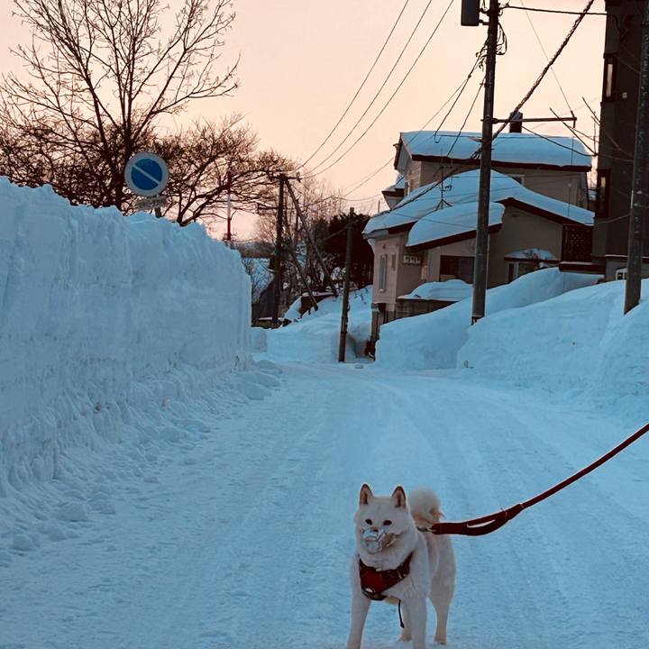 12ef2d28 afc1 44ce 8e47 91a61478ce61 1770157398761