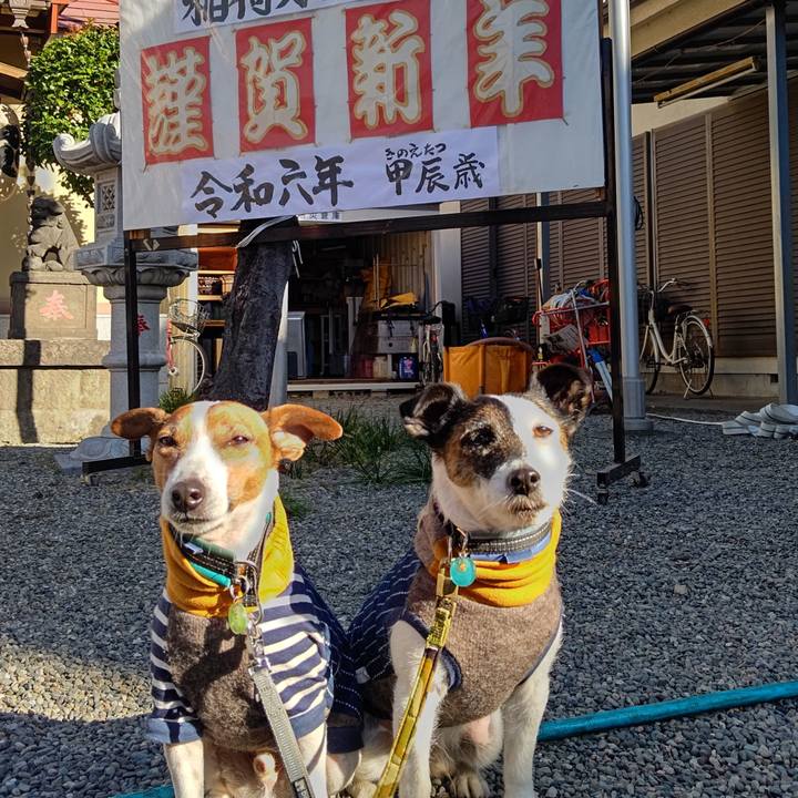 12ef317b b6ed 44bd 8923 292b01ea90ca 1704071925799