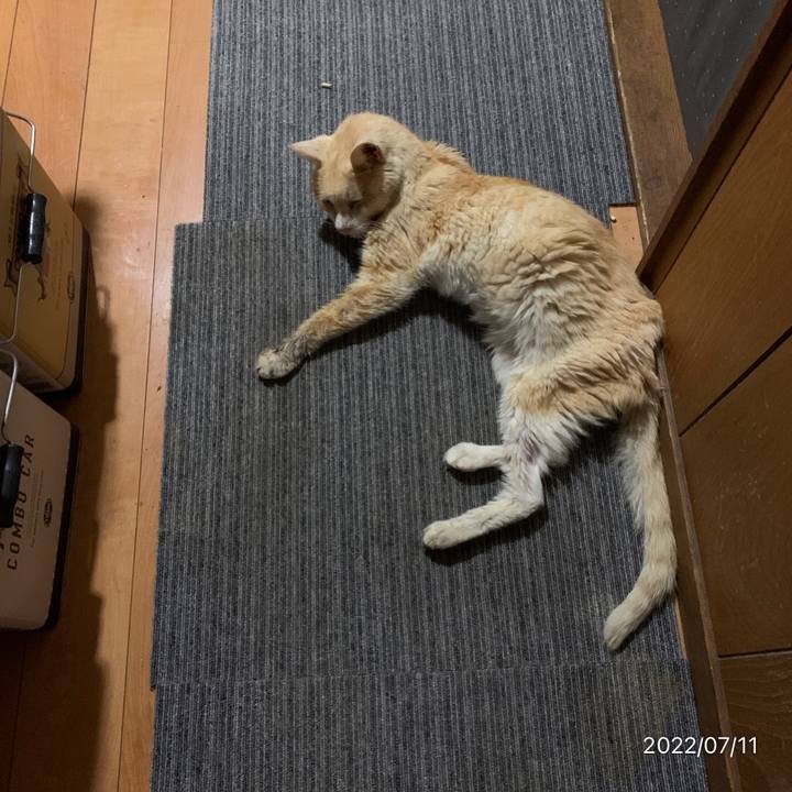 12ef4fb4 8cff 45aa 8b7a 99173dd0cd59 1657544954390