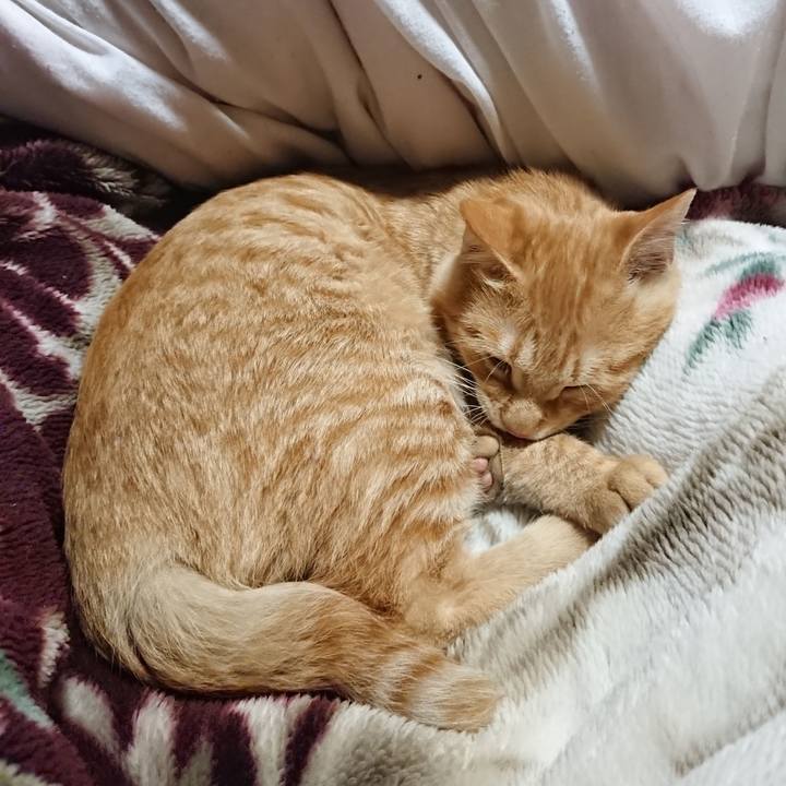 12ef59ba 9dc7 4104 8c50 7c8b01a3a464 1635853101818