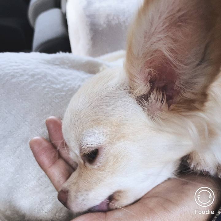 12ef5a41 562f 4cd8 9446 2b54acbb7557 1600659376299