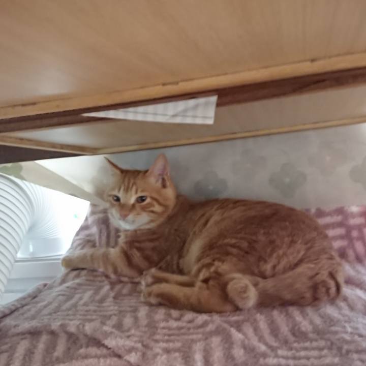 12ef7dbd d231 4aea adfc 32d8421511a5 1636589436381