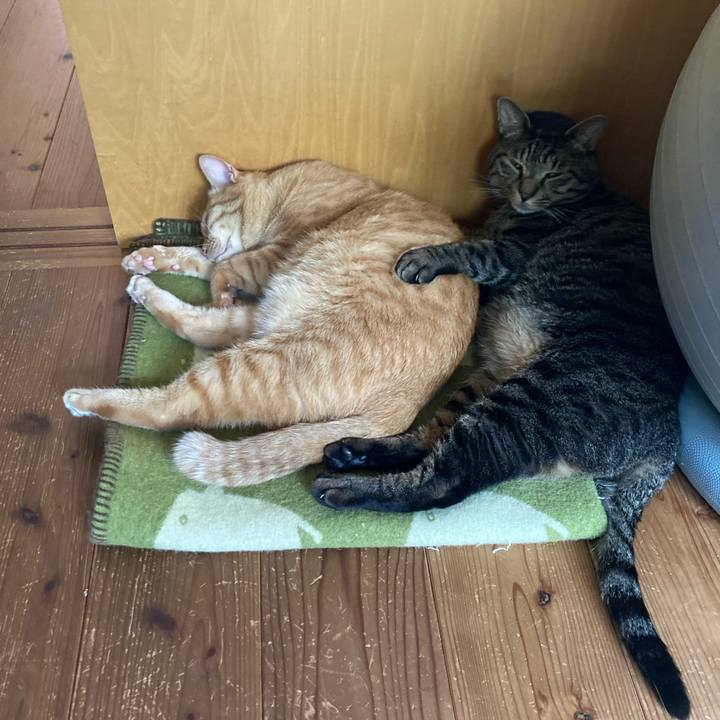 12efa250 4d15 4770 b065 636b16763e47 1726754743731