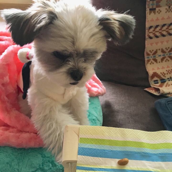 12efa3b3 a4d7 4273 8cff 9ed1245b1d68 1511172894314