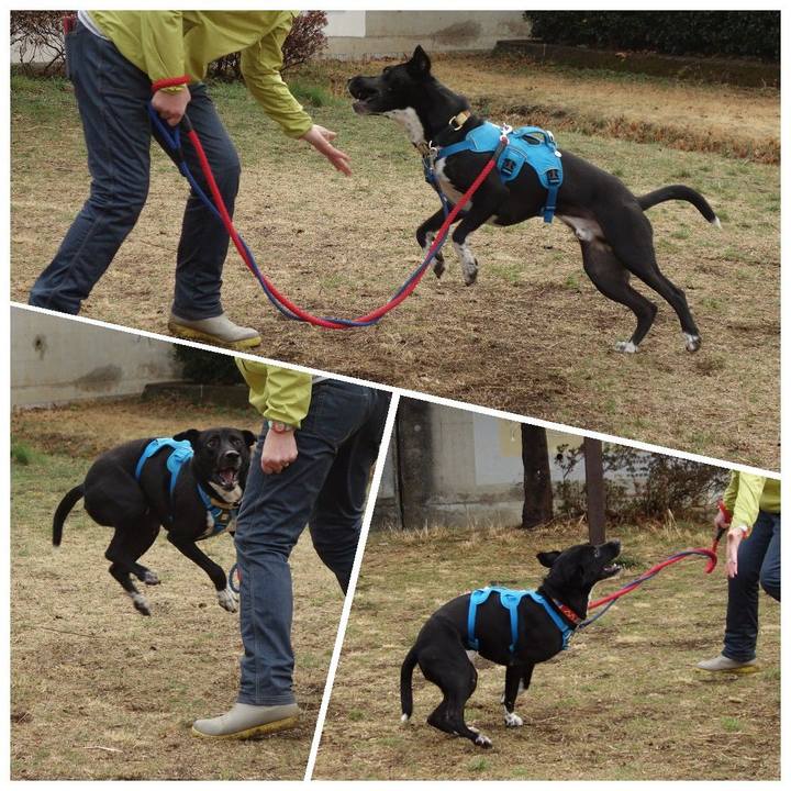 12efbe16 949e 4c5b a0b0 76f510f7fe9a 1614988541753