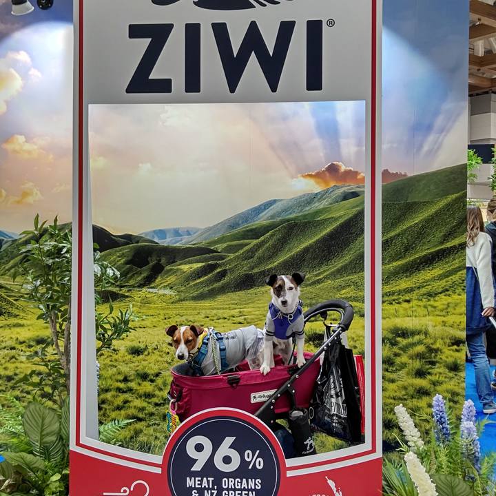 12efe618 8c93 4a88 8419 6fb242148e06 1617367711726