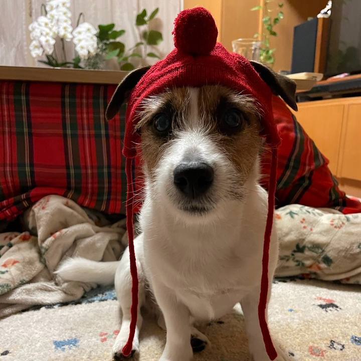 12f013cd 9732 40e5 ac7a a00ec19567fc 1708396280670