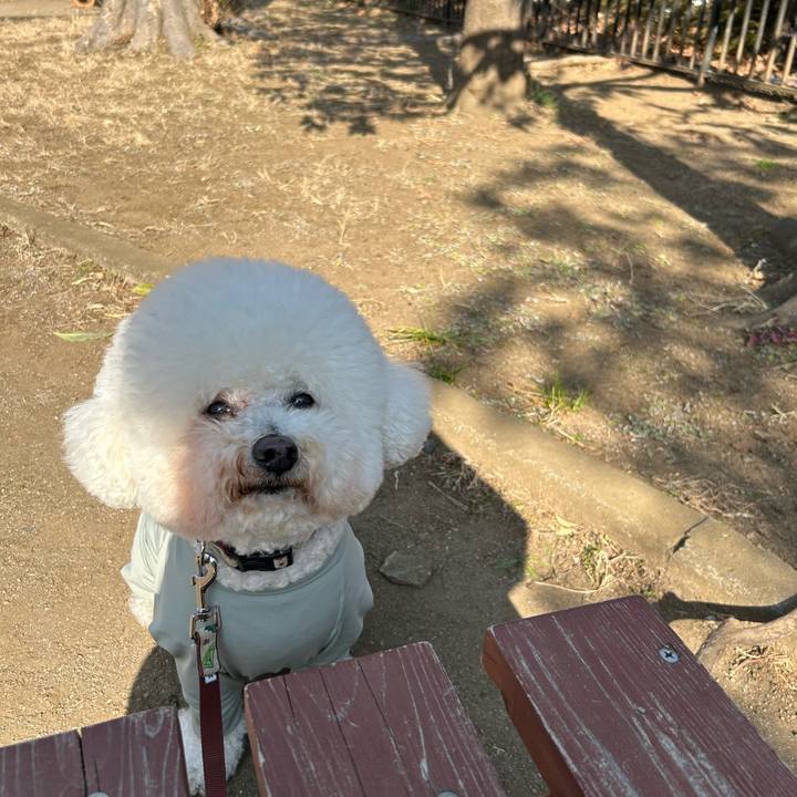 12f043b4 96fd 47b2 8790 9aca55602c5a 1771917416613