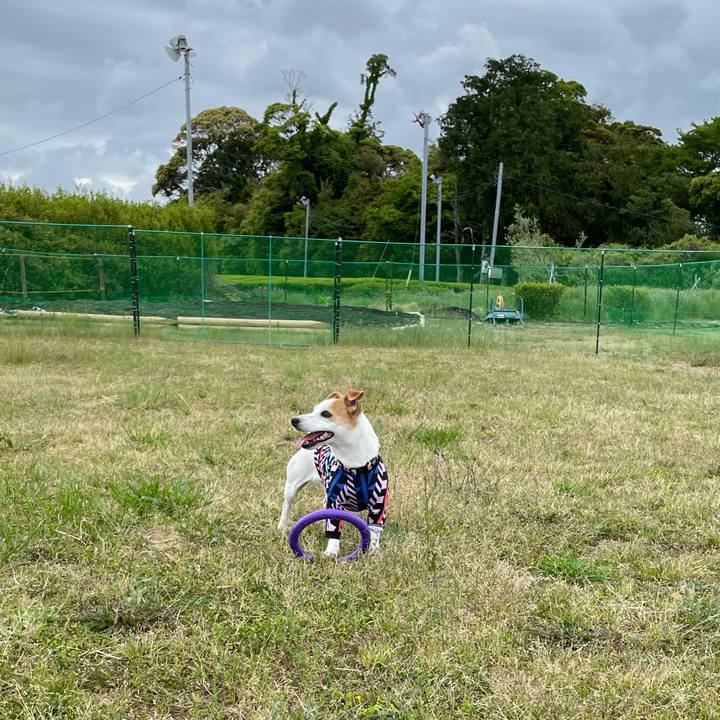 12f05a20 fa0f 499e b51f 8331a9221b26 1619617151942