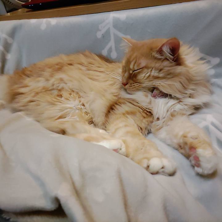 12f05fc1 320d 47d1 8d6c a49449705f75 1674390862649