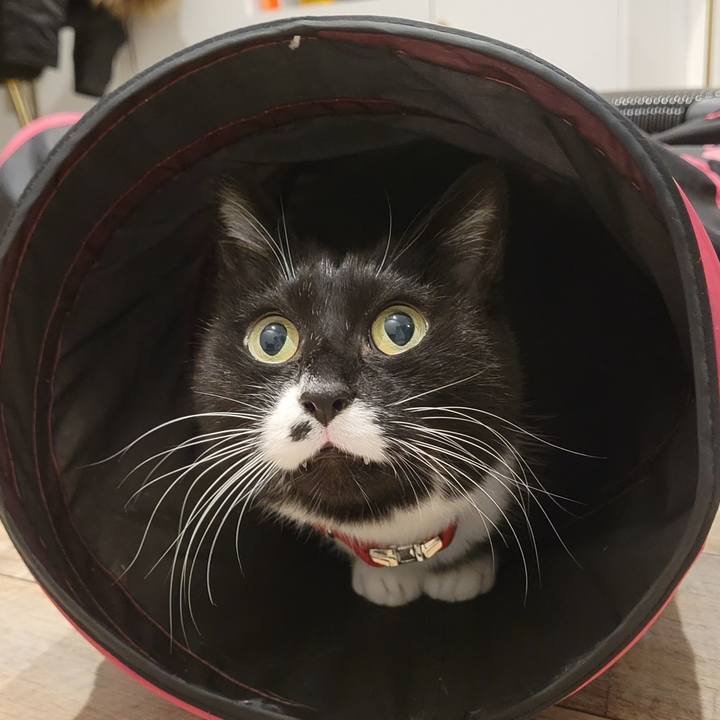 12f082a6 2ca3 46fe bae1 f1f3d57517f5 1771736109336