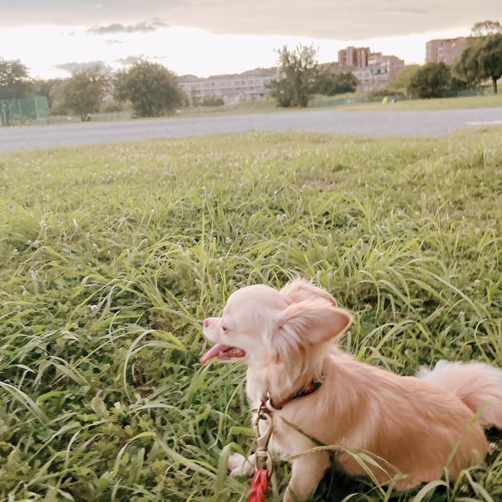 12f08318 180c 41aa a427 5b32742d37ad 1659007998097