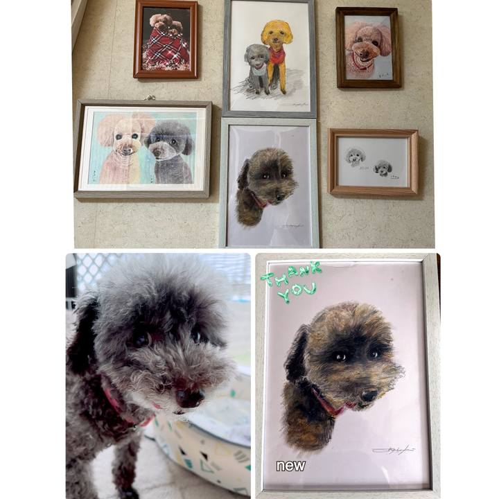 12f0856e 5715 409d 9ba3 0fe7ef948414 1695887386413