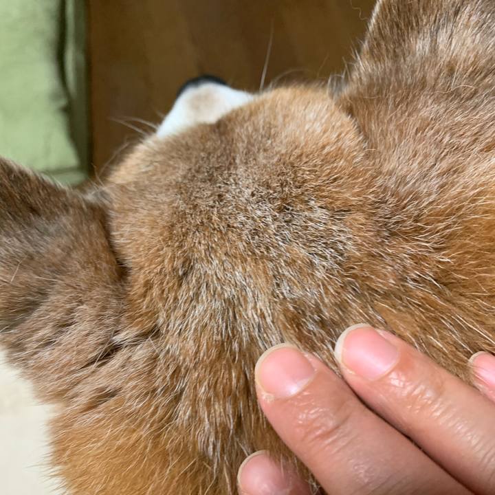 12f09356 a9a0 45e8 9903 c9d2e19adc3b 1594896898101