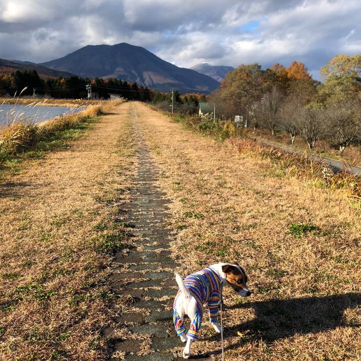 12f0965b 639b 473b a67b de3ad5153153 1573728453561