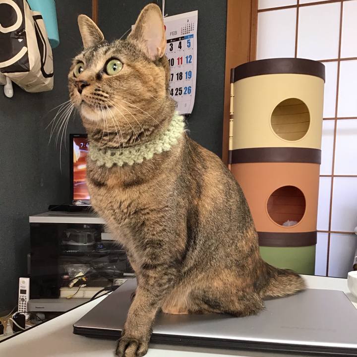 12f0a45f 5888 48f8 ac6d ac7f5fb72d86 1645830982561