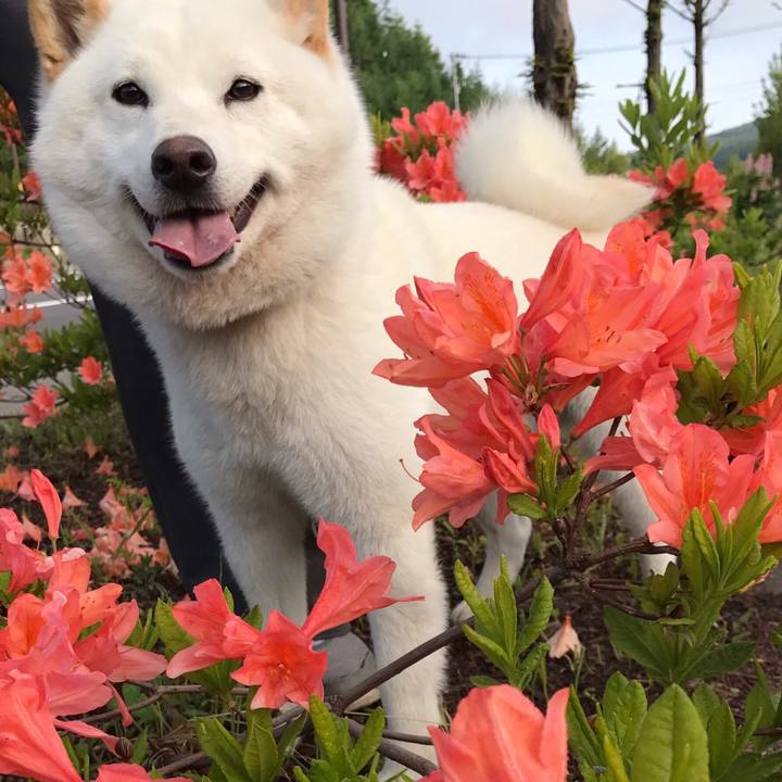 12f0acbe 1d1d 4e72 ae63 7bdcc72a796d 1532642202938