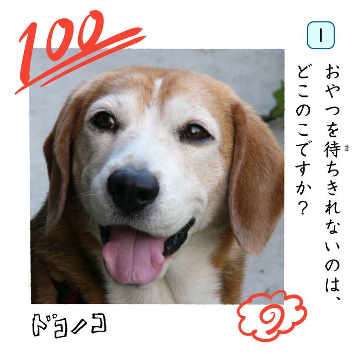 12f1177e 94c8 4c99 ae1e 9dc9755da9e7 1744407223832