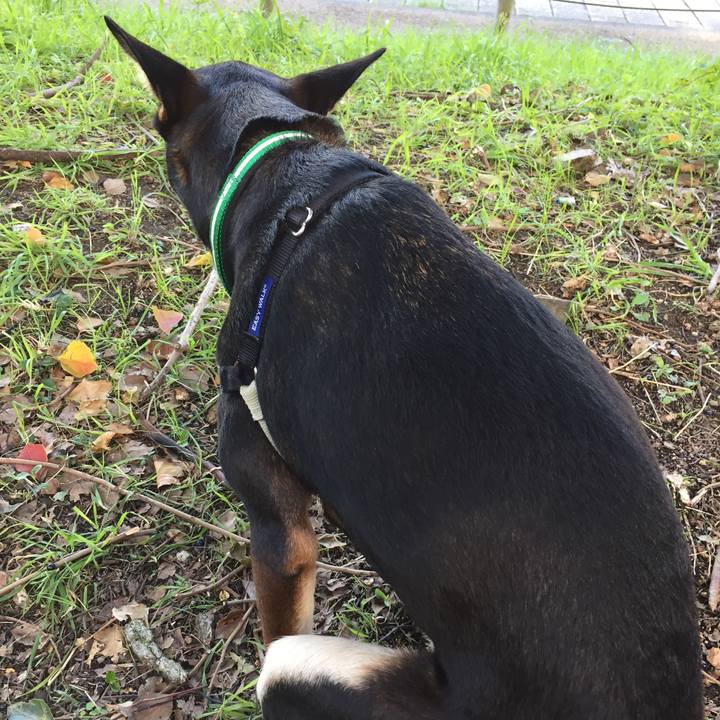 12f13d0d c333 41b1 a6e3 8be762d8dc61 1511051692019