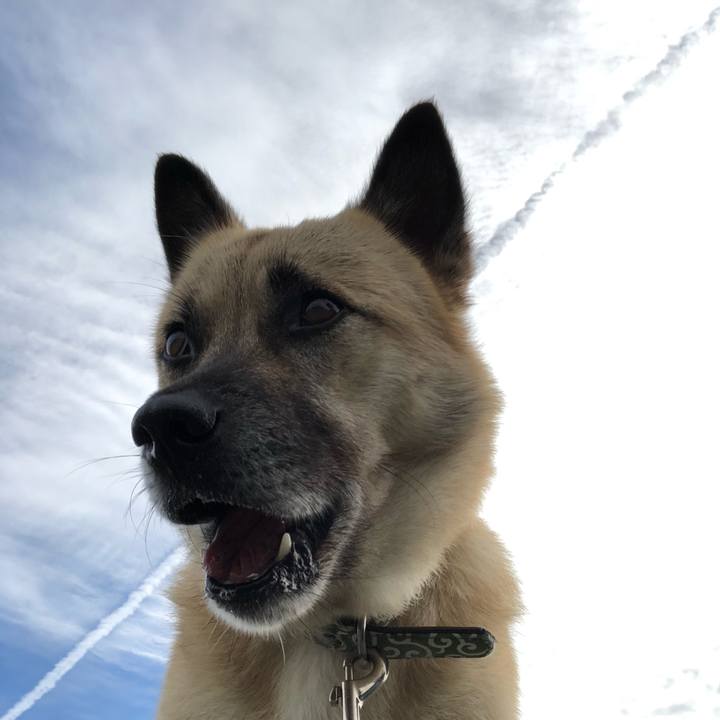 12f1b7eb 1974 4ec1 8626 a7abed3bd814 1635064464804