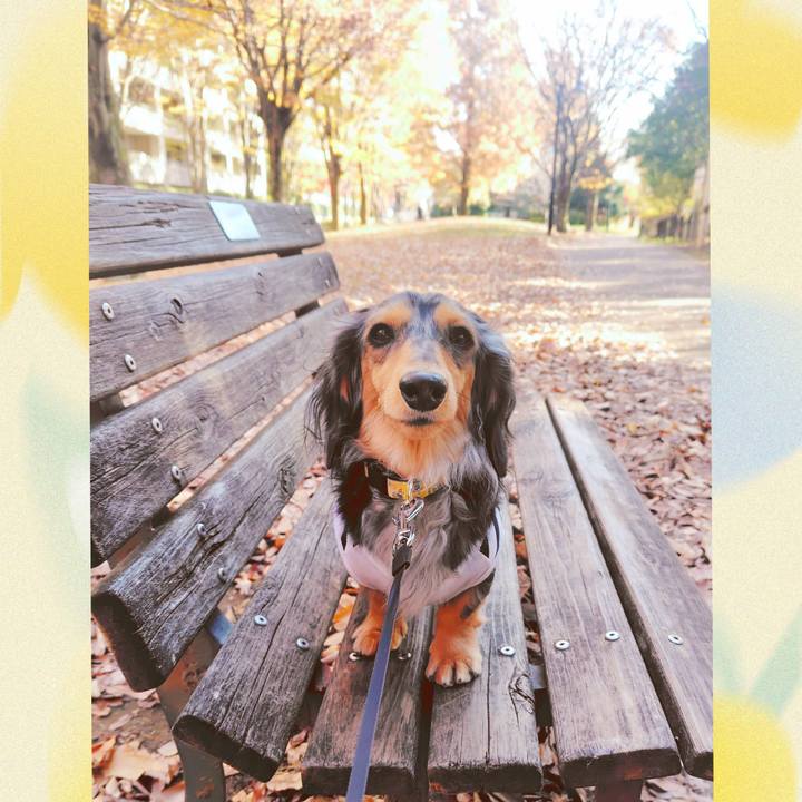 12f1ccb9 88d0 4eed 9f7e 22cfbed3072e 1764500669291