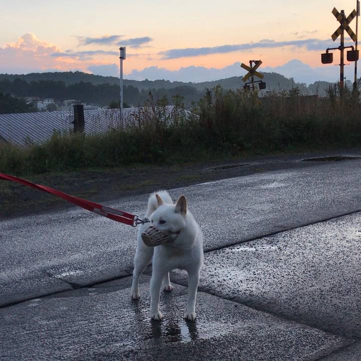 12f1d1df fcc8 4252 953d 562de85fdcf1 1537132143313