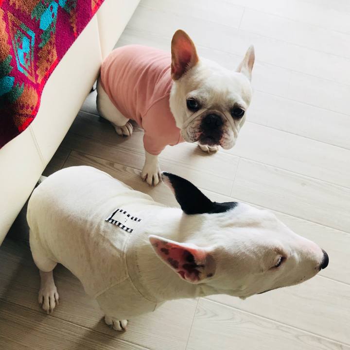 12f1d215 49e0 403b b9e9 7b8cb6dd6bd0 1538700217165