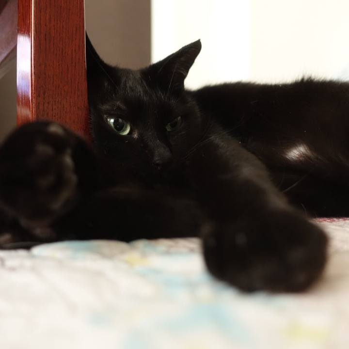 12f1f8fb 67d3 401d 91b2 bfeb59fe0928 1578026068648