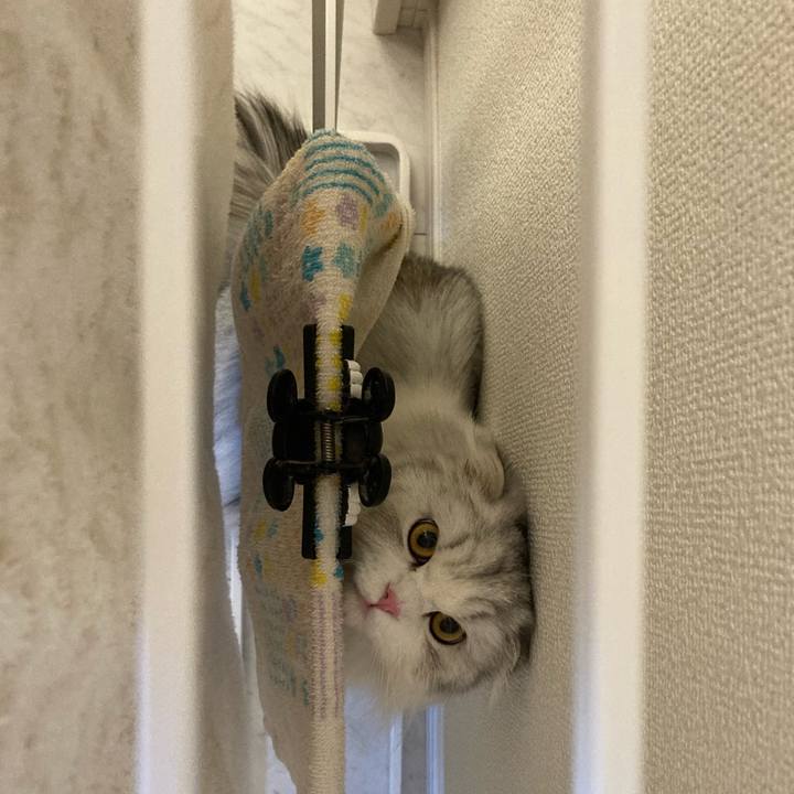 12f22414 b487 4137 91b5 3fdd3443c858 1635933916055