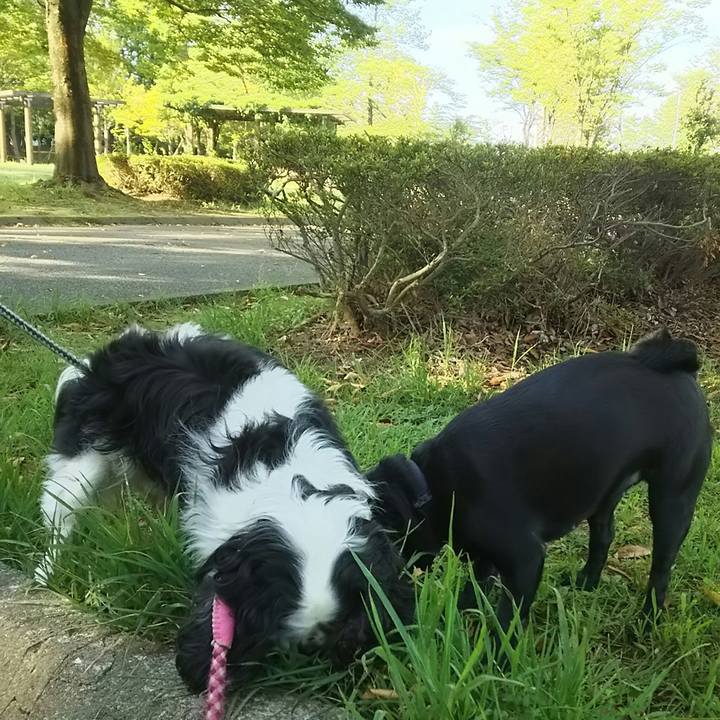 12f245c7 c947 4050 b662 697f499d94a6 1534633814270