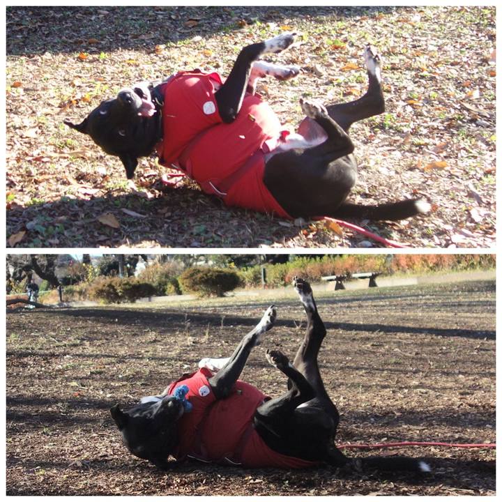 12f271b2 25e9 4eef 9975 cf3abc8c52ab 1702437120153