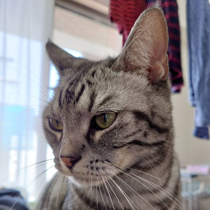 12f2b84e ed93 472e 8915 fe47cabc4a38 1618807390051