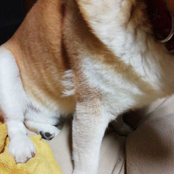 12f321f4 944f 44e1 b2c9 e3f0d9829436 1671192079896