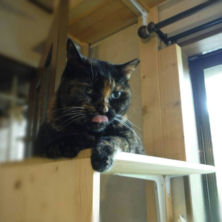 12f3311e 595e 4cf8 84a5 f443f39cafab 1562982269560