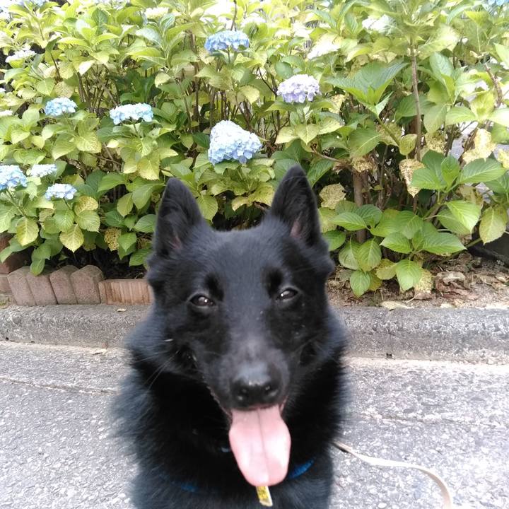 12f37e06 ee83 41a6 b1dd ca43da19632e 1559447386858