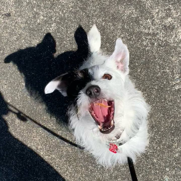 12f39168 ea05 465f bfc8 8f414c47d2d3 1686961700854