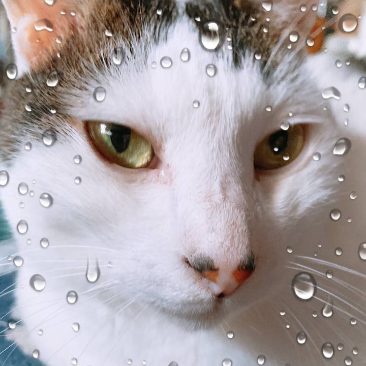 12f3ac4a 799a 43fa a6b7 7beb72a21b1f 1625893532211