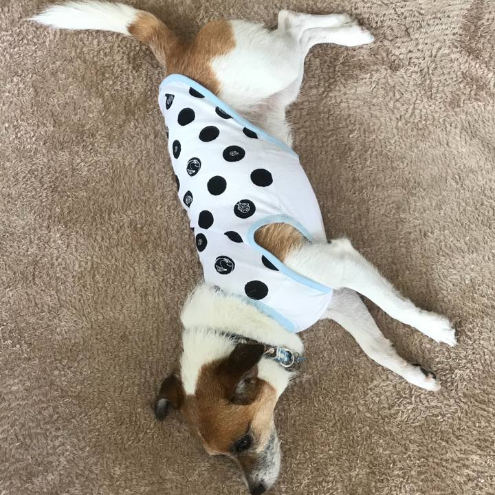 12f3d526 af74 41f8 a41f bff9b883af00 1536456276081