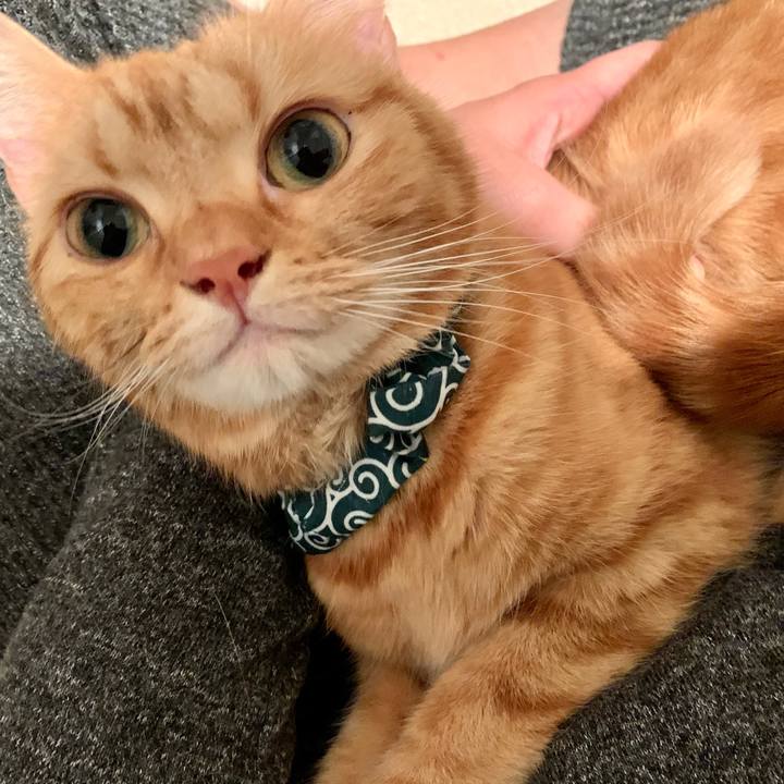 12f40974 cc92 426c 859a 26a095714a64 1572045802209