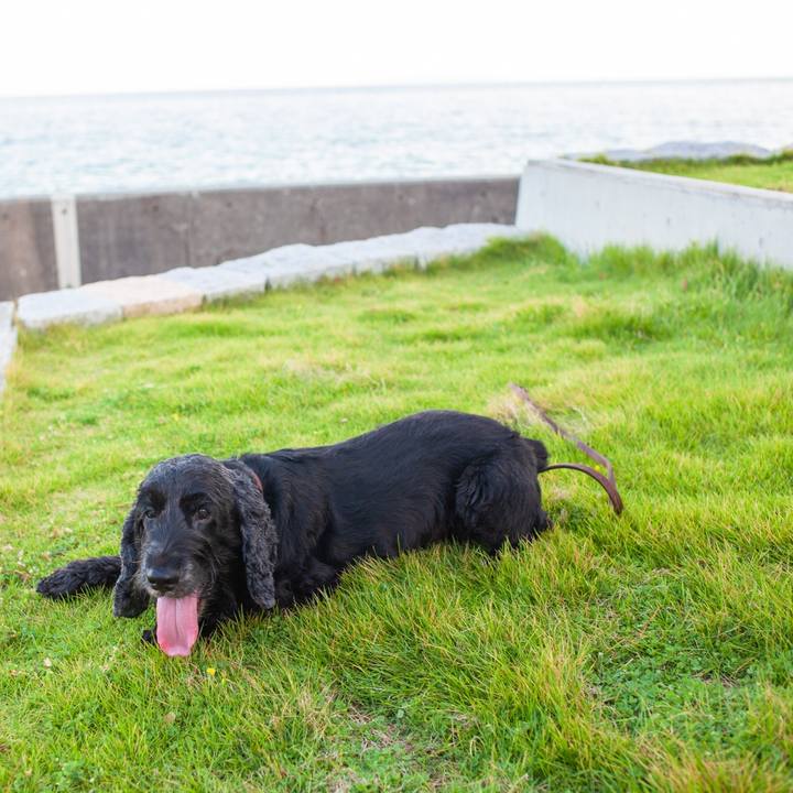 12f42968 d3f1 4a50 bb5e 65919d6d417e 1565012350069