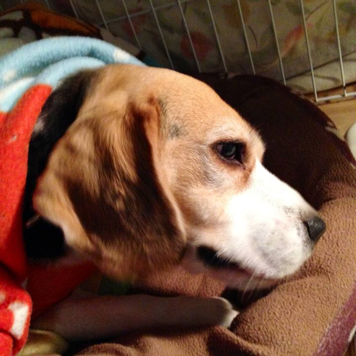 12f43820 f2f8 4f7d bd14 cc8edc13a919 1744329648943