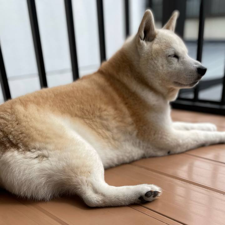 12f49fa1 2627 47db 8bd6 234552a546eb 1649944115697