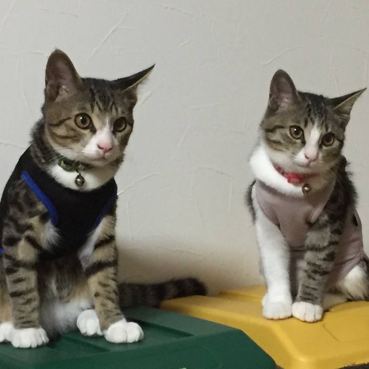 12f503d9 fecb 4950 86d1 8fde90071a4d 1663918917575