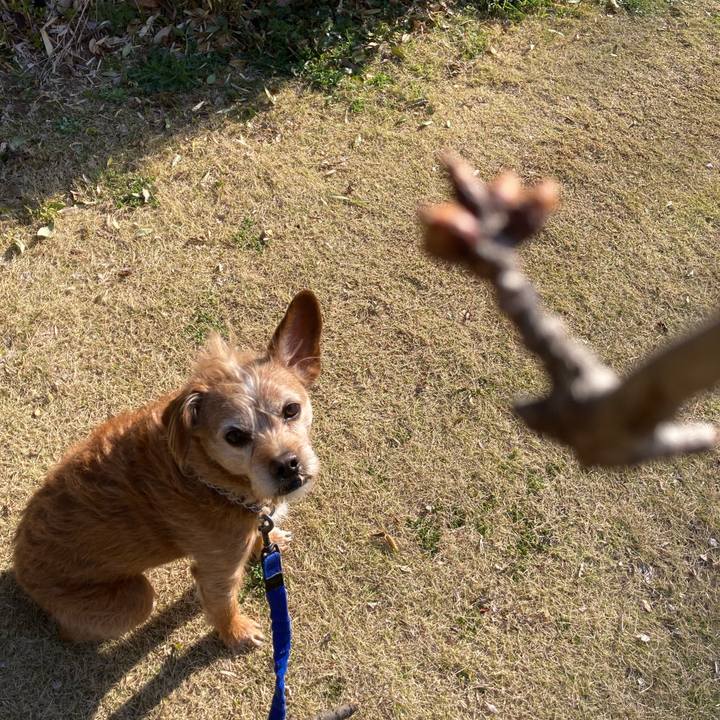 12f5069e f4d5 4993 9f61 9518d8f079c4 1710898105321