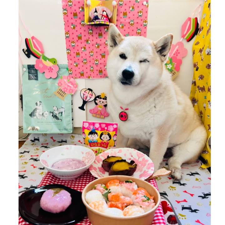 12f53116 fa03 421f 86f6 64fc729a3478 1740963892908