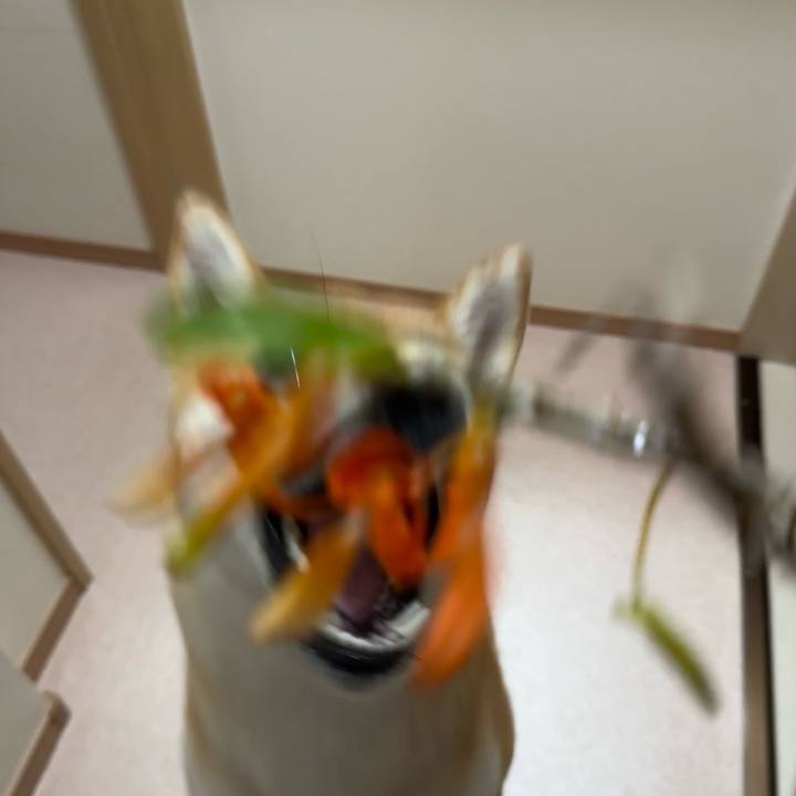 12f5469f fef1 441e 85f8 495c9366172c 1777257355445