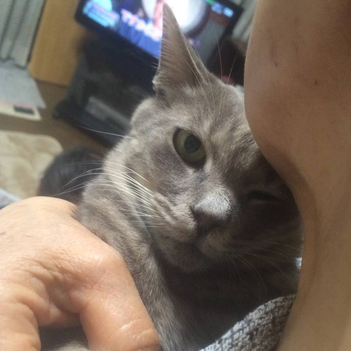 12f55e6b 78fe 4fe3 b2fc 7b536c899432 1556718347198