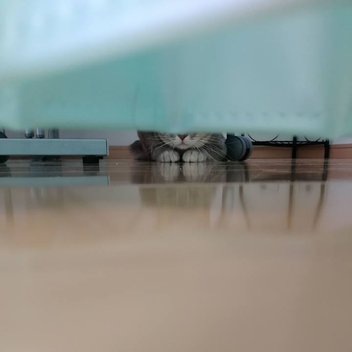 12f566c1 9920 4926 b857 3dabc1217693 1523615672805