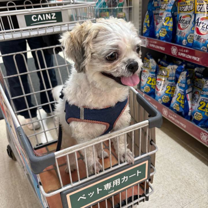 12f57cab 6f6c 4958 9f32 e632d057a7e2 1761083375981