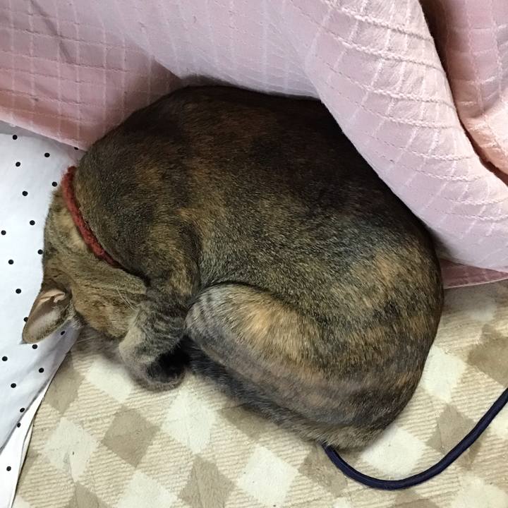 12f57dba 0fb8 48f2 949d ea9ed4049492 1644485785566